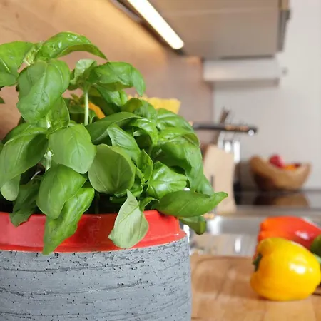 Appartementhaus Reiter Village 4*